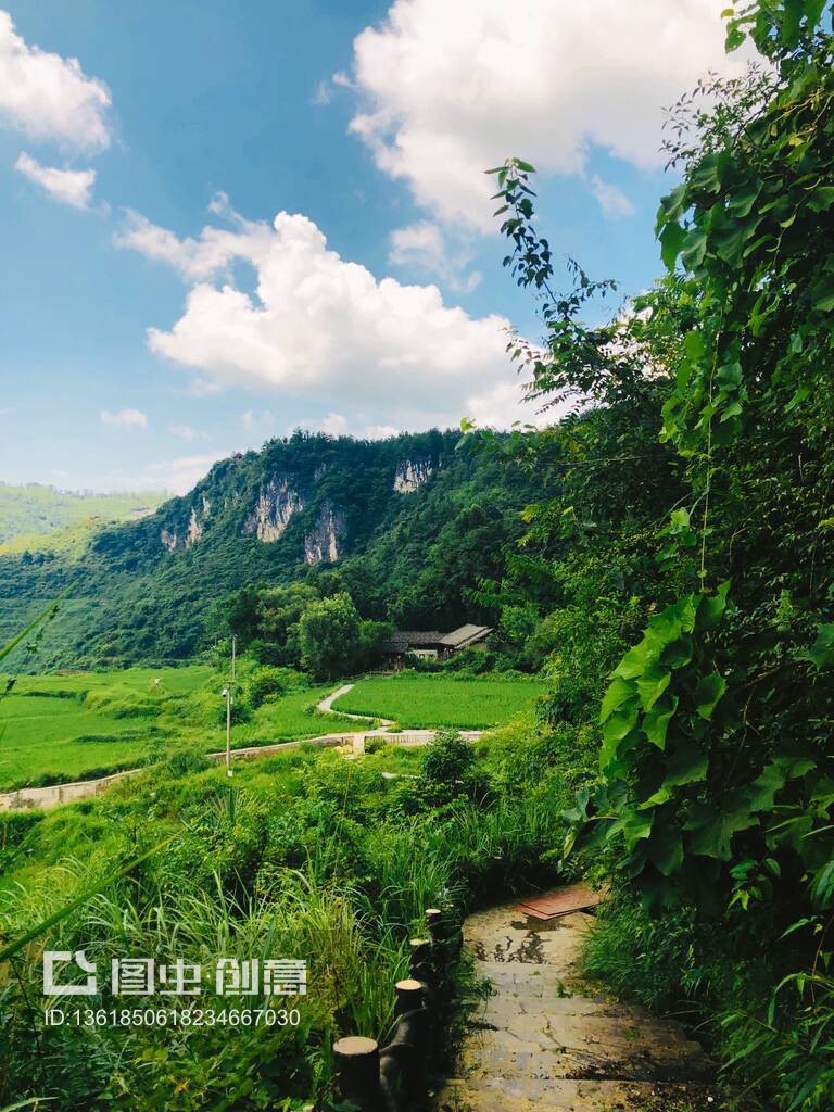 山中有山 探索層巒疊嶂中的美麗與緣分