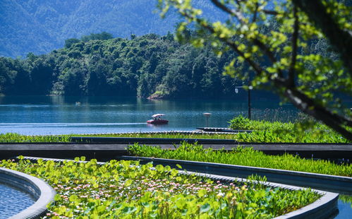 緣分跑過(guò)山 200到300，湖亂跑的報(bào)名費(fèi)究竟觸動(dòng)了誰(shuí)的神經(jīng)